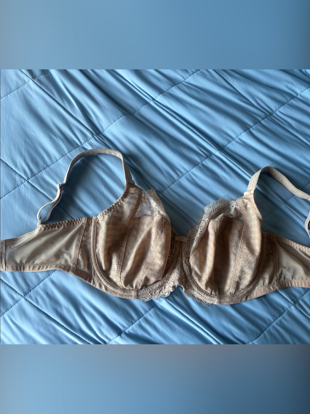 Panache Envy Balconnett Lace Underwire Bra